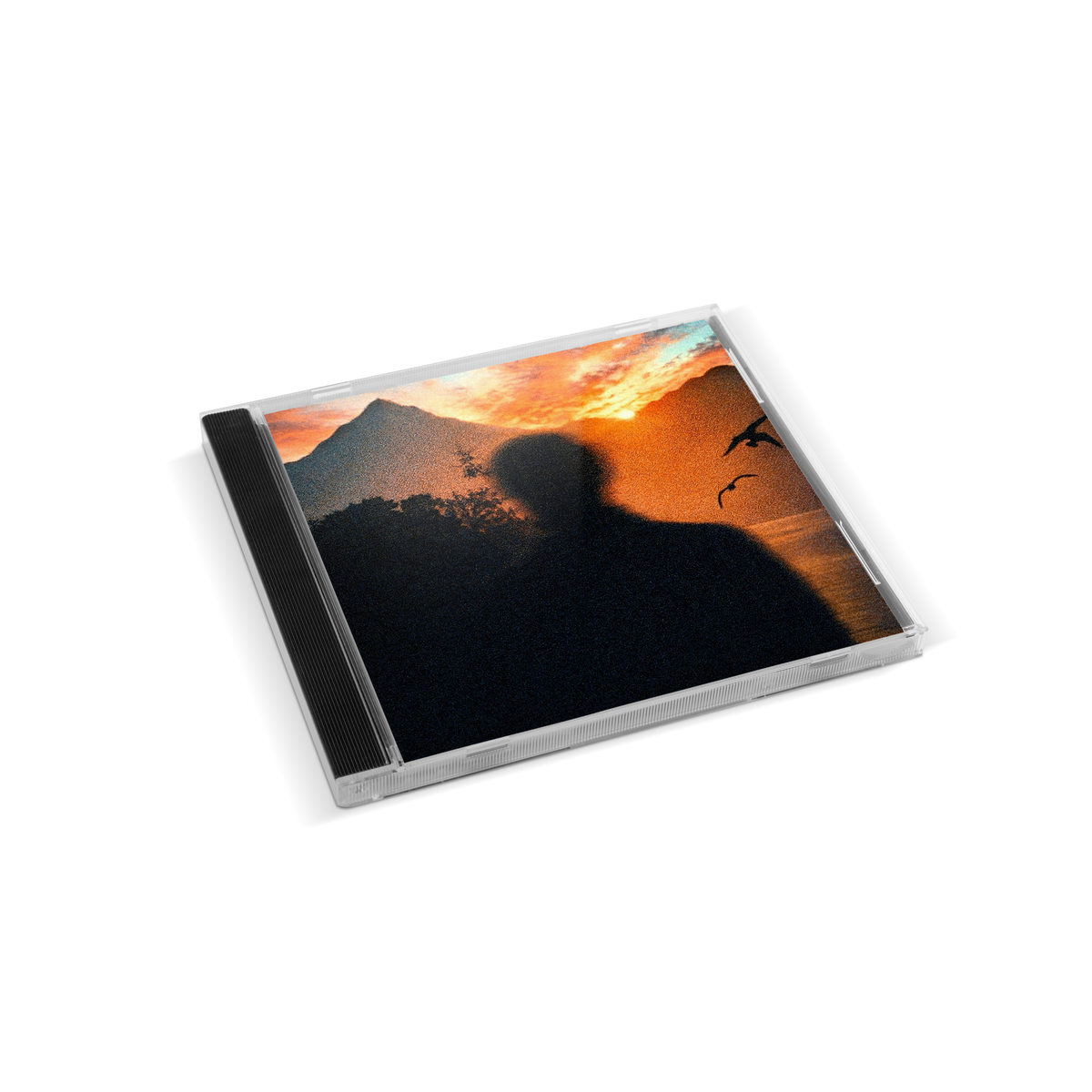 The Divine Ideal - CD PREORDER