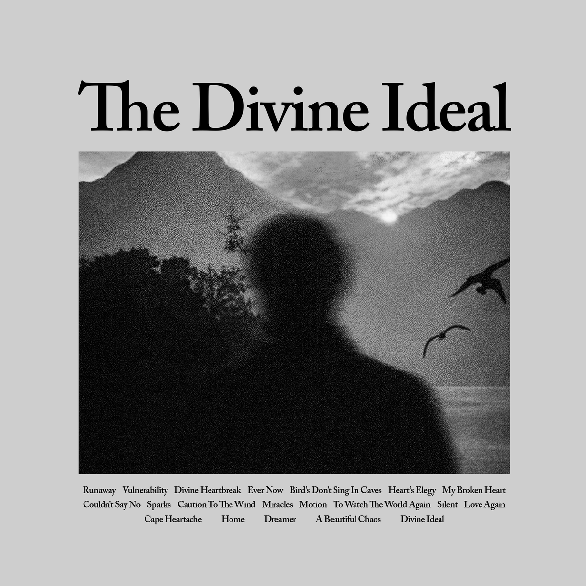Divine Ideal Album Tshirt