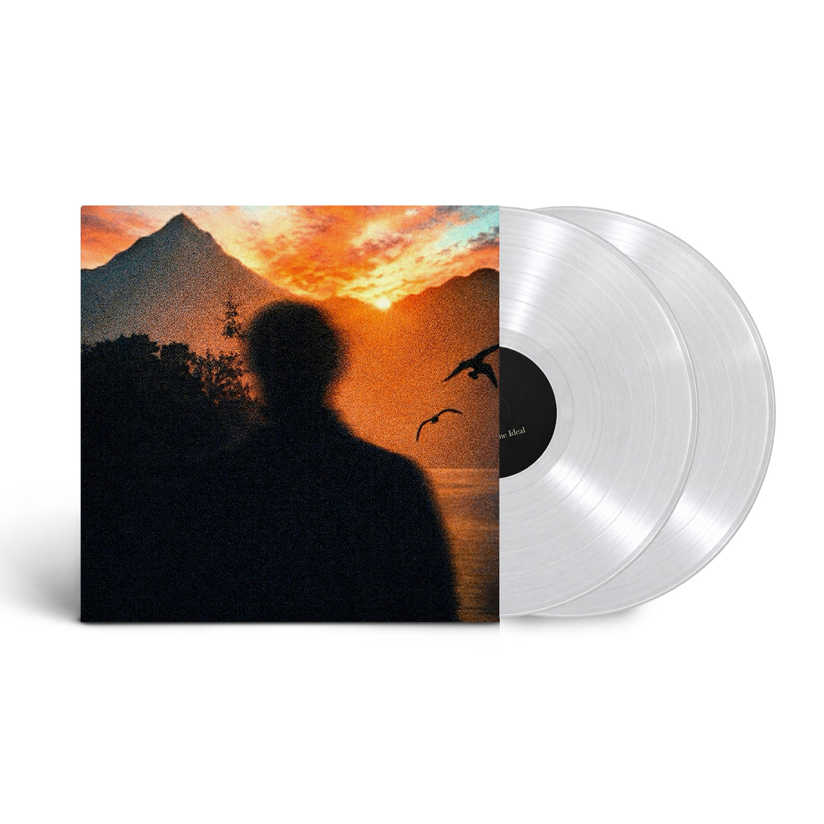 The Divine Ideal FULL ALBUM - 2LP Clear Vinyl PREORDER